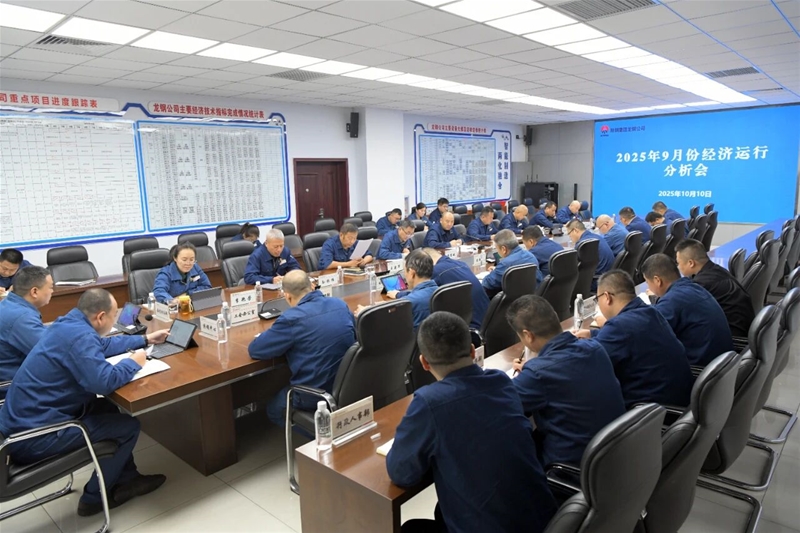 認(rèn)清形勢(shì)主動(dòng)作為全力助推企業(yè)扭虧脫困——公司召開9月份經(jīng)濟(jì)運(yùn)行分析會(huì)