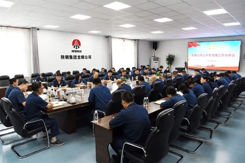 公司召開2024年上半年黨建工作分析會